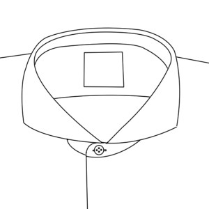 cutaway-collar
